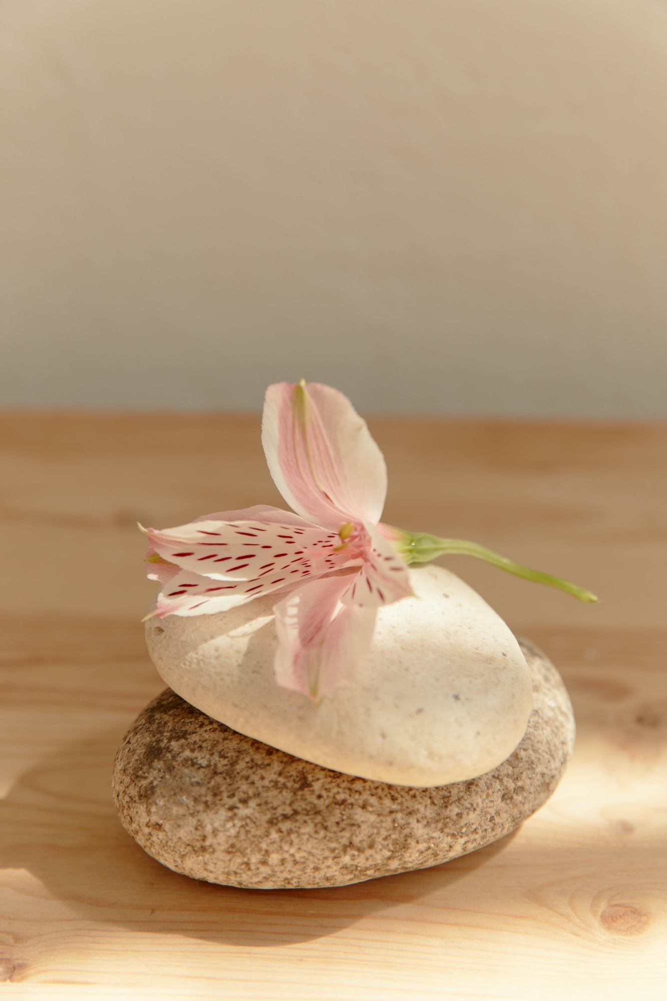 Ayurveda